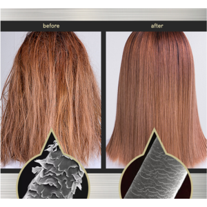 HAIR+ Protein Bond Oil Essence 150ml