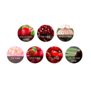 CARENEL Pomegranate Lip Night Mask 5g