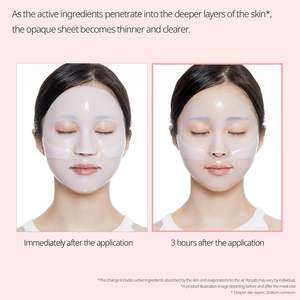 VT COSMETICS COLLAGEN REEDLE SHOT 100 2STEP HYDROGEL MASK