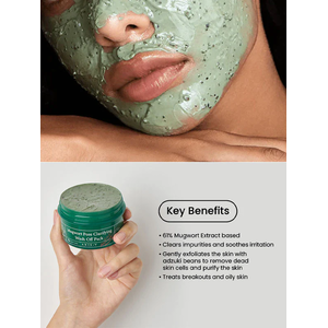 AXIS-Y Mugwort Pore Clarifying Wash Off Pack 100ml